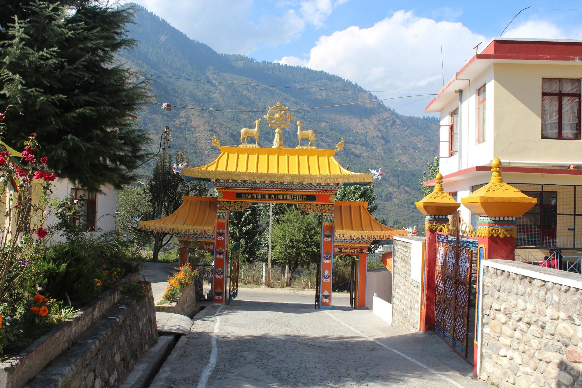 Dhakpo Shedrupling Monastery