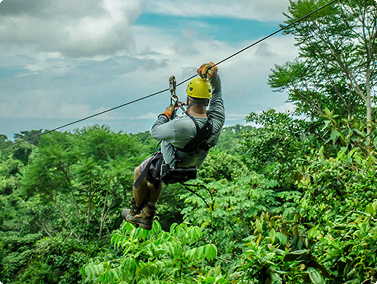 Zip Line